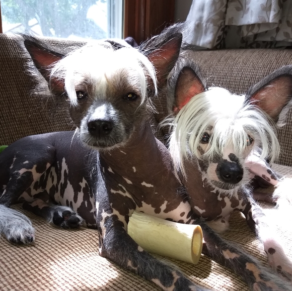 Meet your Posher, Pamela - Picture 2 of 12